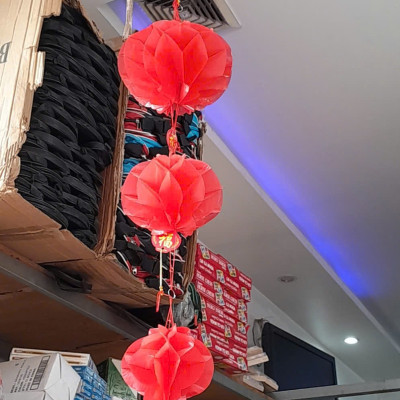 Combo 10 Lồng Đèn Đỏ Trang Trí Tết Bằng Nilon Chống Nước Mẫu Đèn Tổ Ong - Hàng Chính Hãng MINIIN