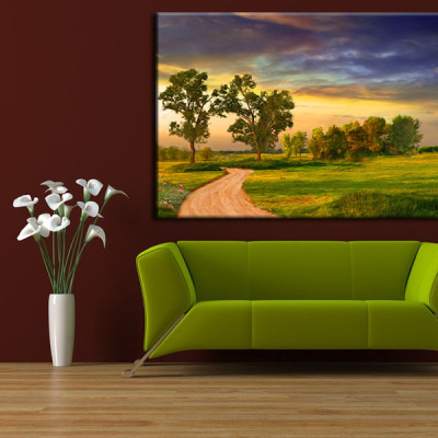 Tranh Treo Tường Canvas Suemall CV140820