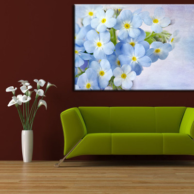 Tranh Treo Tường Canvas Suemall CV140822