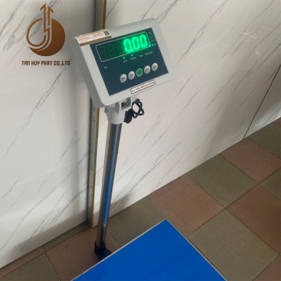 Cân Bàn Điện Tử B19P - Mặt Bàn Cân 600X800MM