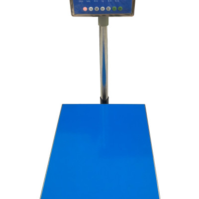 Cân Bàn Điện Tử DIGI DS-166SS 60 kg