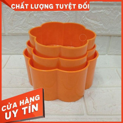 Khuôn ép xôi 5 cánh hoa hồng