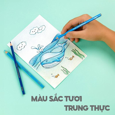 Hộp 12 Bút Chì Màu Kèm Chuốt Chì - Thiên Long CPC-C020