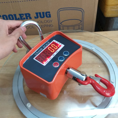 Cân Treo Điện Tử OCS-C3