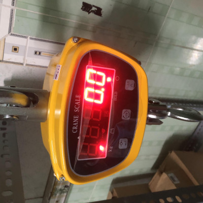 Cân Treo Điện Tử OCS GGE 2 Tấn