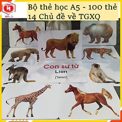 Bộ 100 Thẻ Học Thông Minh Cho Bé, Flashcard Song Ngữ Cho Bé Với 14 Chủ Đề Thế Giới Xunh Quanh Khổ A5 21x15cm