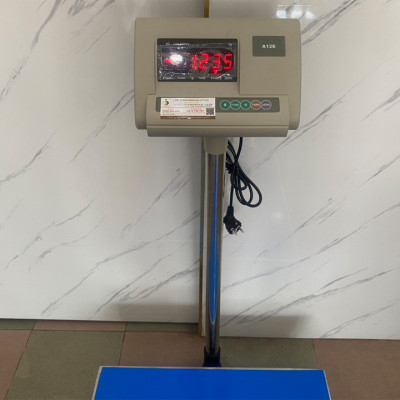 Cân Bàn Điện Tử A12E - Mặt Bàn Cân 600X800MM