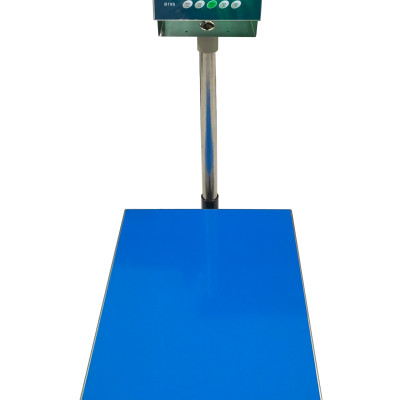 Cân Bàn Điện Tử B19S 