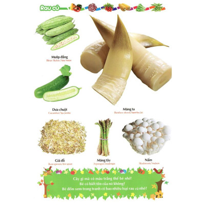 Từ Điển Tranh Về Rau - Củ - Quả - Hoa (Bìa Mềm) - Bản Quyền