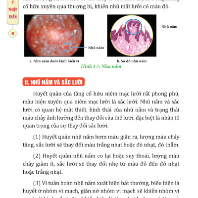 Đông Y Thiệt Chẩn (Tái Bản 2023)