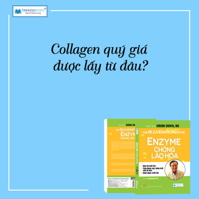 Combo 4 cuốn Bí mật dinh dưỡng (TB) + Toàn cảnh dinh dưỡng (TB) + Nhân tố vi sinh (TB) + Enzyme chống lão hoá (TB)