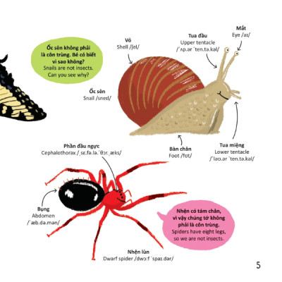 Thư Viện Từ Vựng Đầu Đời Cho Bé - Các Loài Sâu Bọ - Bugs!