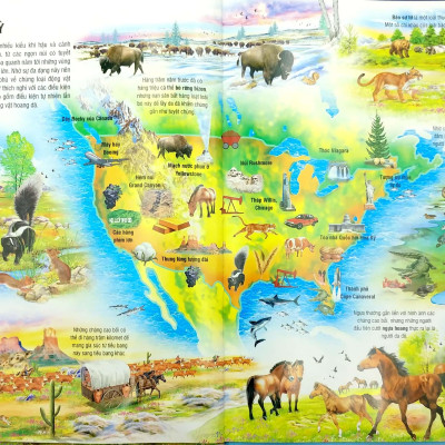 Atlas Môi Trường Sống Của Các Loài Động Vật