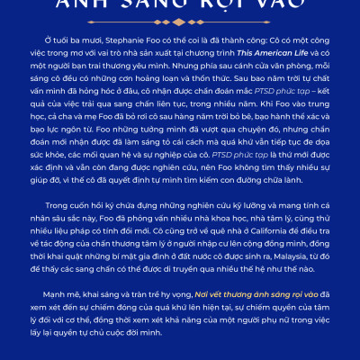 Sách Nơi Vết Thương Ánh Sáng Rọi Vào - First News