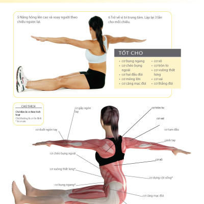 Khỏe Đẹp Với Các Bài Tập Cơ Bản