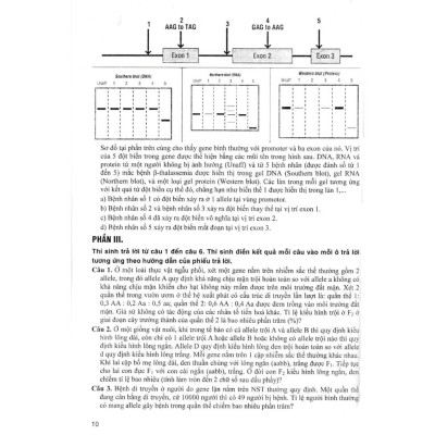 Sách - Bộ Đề Sinh Học - Đầy Đủ Các Dạng Trắc Nghiệm Theo Cấu Trúc Đề Thi Năm 2025 (Theo Chương Trình GDPT Mới) - HA