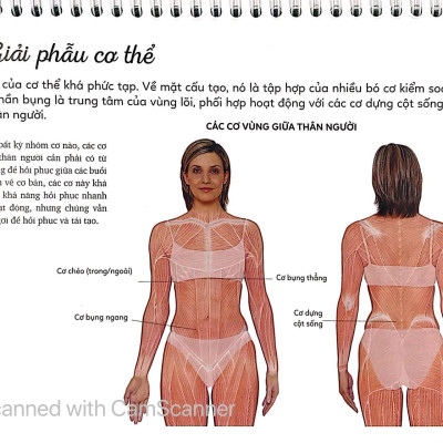 Sách Lò Xo - 15 Phút Tập Bụng (Kèm 1 DVD)