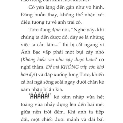 Toto - Cô Mèo Ninja