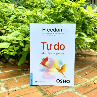Sách OSHO - Tự Do Như Chim Tung Cánh - First News