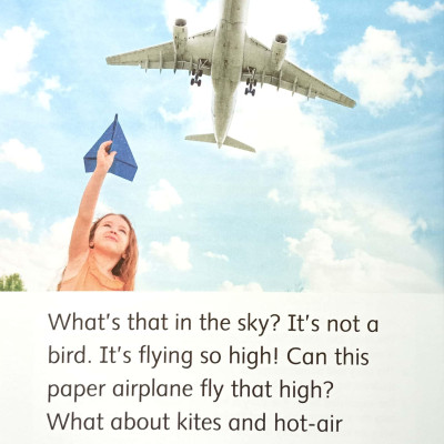 Dolphin Readers Level 3: Things That Fly