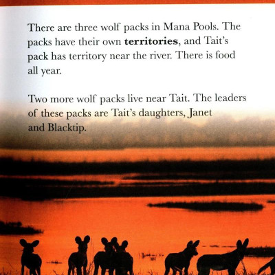 Penguin Readers Level 1: BBC Dynasties: Wolves