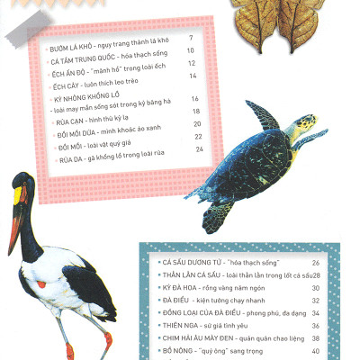 Thiên Nhiên- Những Bí Mật Còn Ẩn Giấu - Động Vật Quý Hiếm (Tái Bản 2019)- 2HBooks