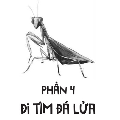 Chiến Binh Tí Hon Trong Thế Giới Côn Trùng - Tập 2