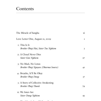 One Buddha Is Not Enough: A Story Of Collective Awakening