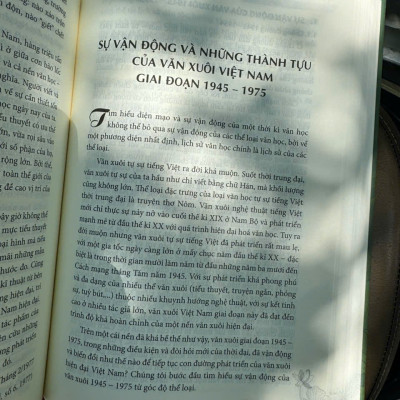 (Bìa cứng) VĂN HỌC VIỆT NAM HIỆN ĐẠI – Nguyễn Văn Long – NXB Đại học Sư phạm