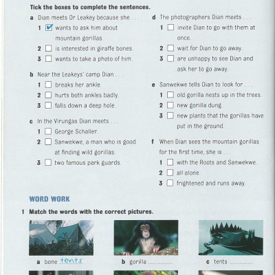 Dominoes 3 Dian and the Gorillas