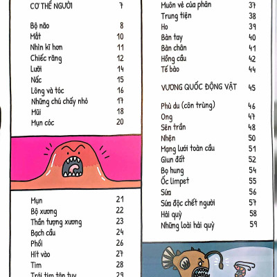 Một Ngày Trong Đời Của Con Lười, Con Ngươi Và Con Người