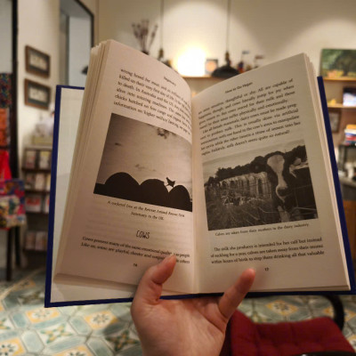 Sách - How To Go Vegan: The why, the how, and everything you need to make going vegan easy by Evanna Lynch