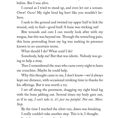 The Travelling Cat Chronicles