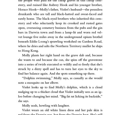 All Our Shimmering Skies