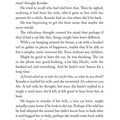 The Travelling Cat Chronicles