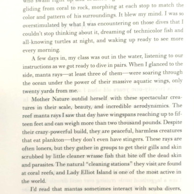 World Wild Vet: Encounters In The Animal Kingdom