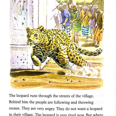 The Leopard and the Lighthouse: Easystarts