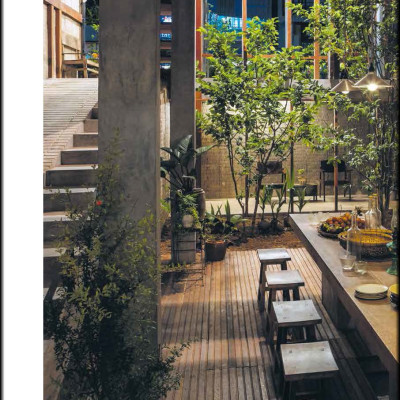 Ultimate Wonder Plants : Your Urban Jungle Interior