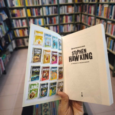 Sách - Introducing Stephen Haw King A Graphic Guide by J.P. McEvoy  - Science/ Nonfiction /Biography