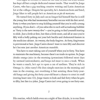 Holly - Stephen King