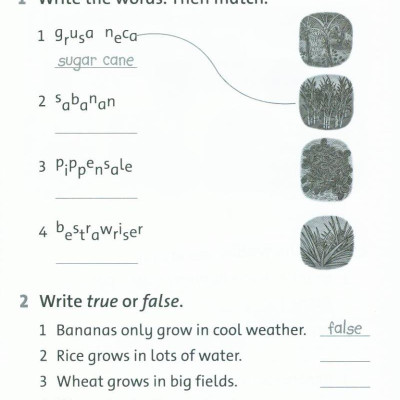 Oxford Read and Discover 2: Farms Activity Book