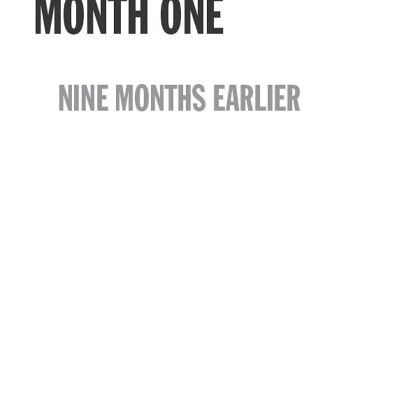 The Ninth Month (Paperback)