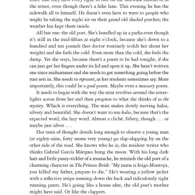 Holly - Stephen King