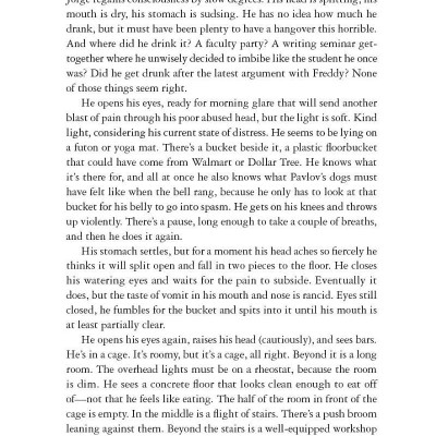 Holly - Stephen King