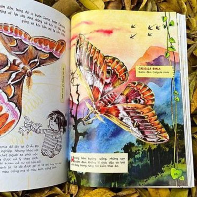 Bộ "Sinh Vật Học Kỳ Thú"