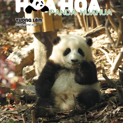 [Sách Ảnh] Gấu Trúc Hoa Hoa - Panda HuaHua - Amakbooks
