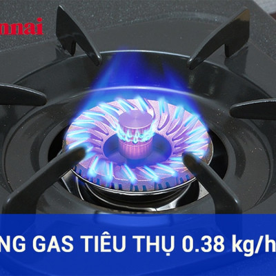 Bếp gas đôi dương Rinnai RV-375 SW(N) (Trắng)- Hàng chính hãng