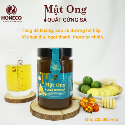 Mật ong Quất Gừng Sả Honeco 500g