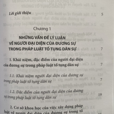 Người Đại Diện Của Dương Sự Trong Pháp Luật Tố Tụng Dân Sự Việt Nam