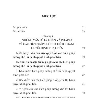 Các Biện Pháp Cưỡng Chế Thi Hành Quyết Định Phạt Tiền Trong Xử Phạt Vi Phạm Hành Chính: Thực Trạng Và Giải Pháp